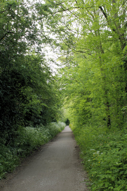 Tissington Trail Tissington Trail